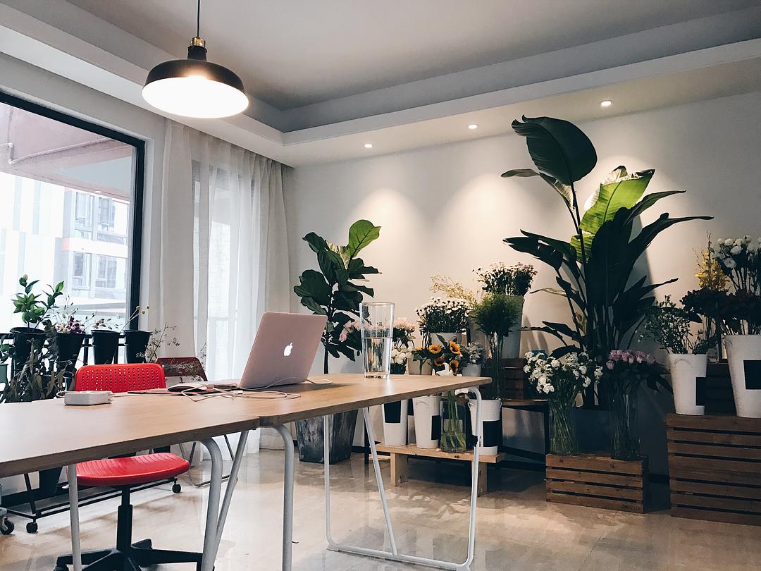 花藝培訓學校裝修設(shè)計效果圖